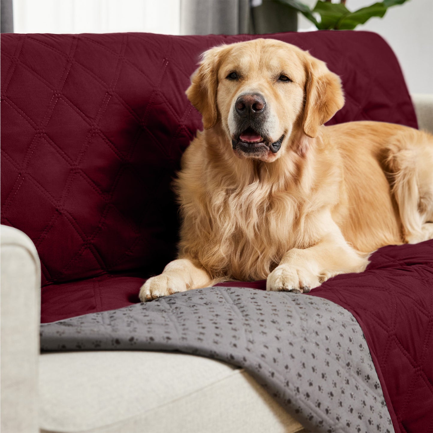 Waterproof Pet Blanket Gorilla Grip Burgundy