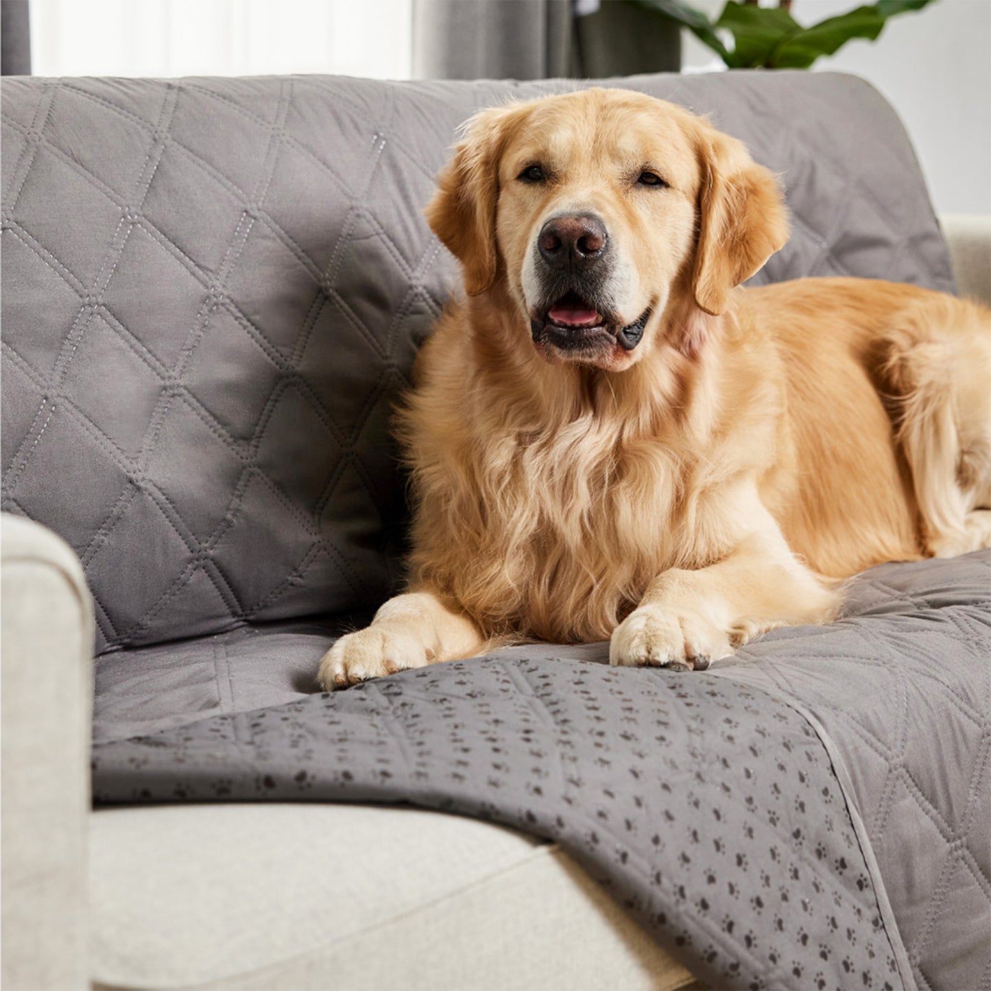 Waterproof Pet Blanket Gorilla Grip Charcoal