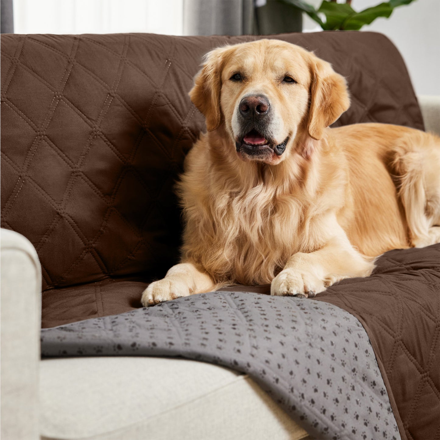 Waterproof Pet Blanket Gorilla Grip Chocolate