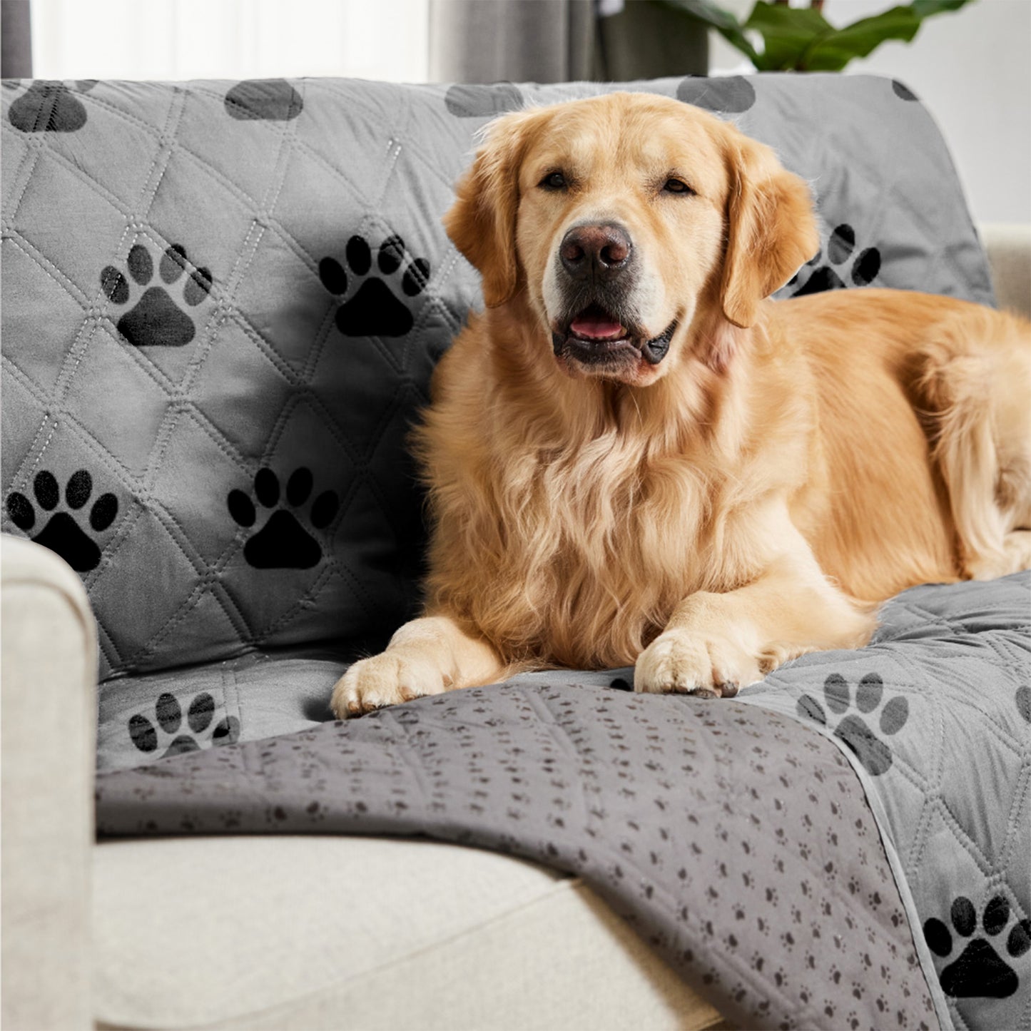 Waterproof Pet Blanket Gorilla Grip Gray Black Paw