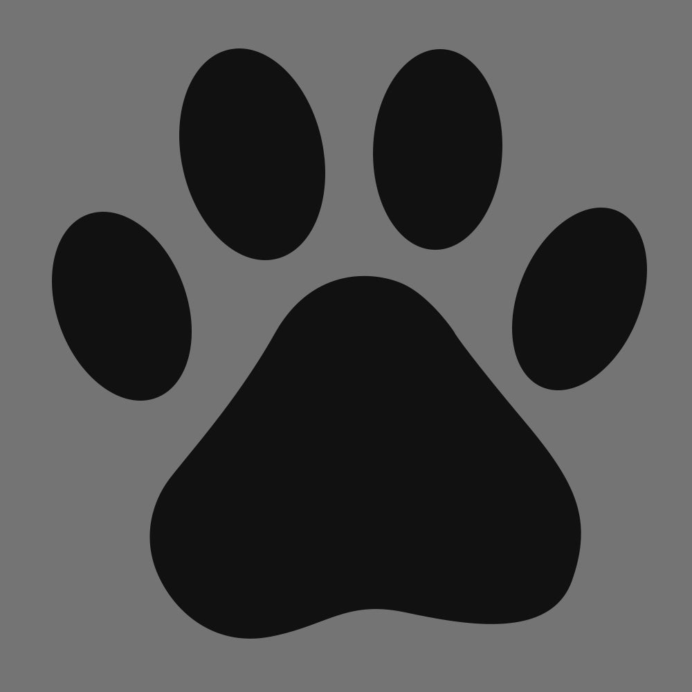 Waterproof Pet Blanket Gorilla Grip