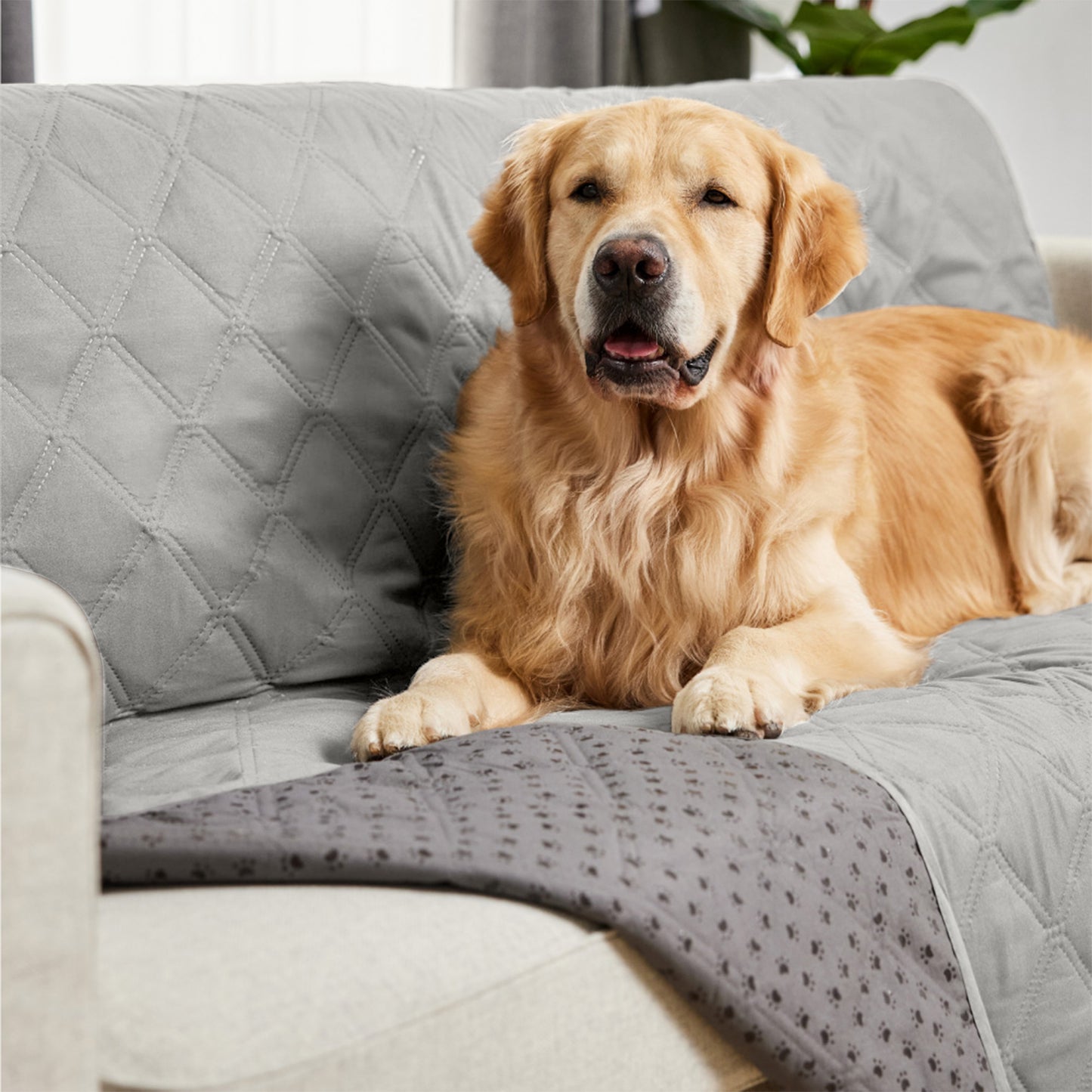Waterproof Pet Blanket Gorilla Grip Light Gray