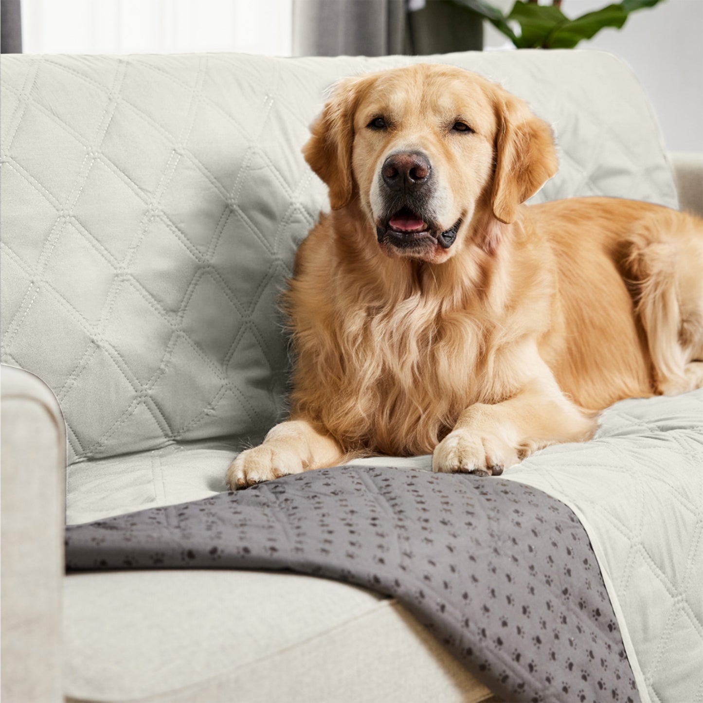 Waterproof Pet Blanket Gorilla Grip Light Taupe