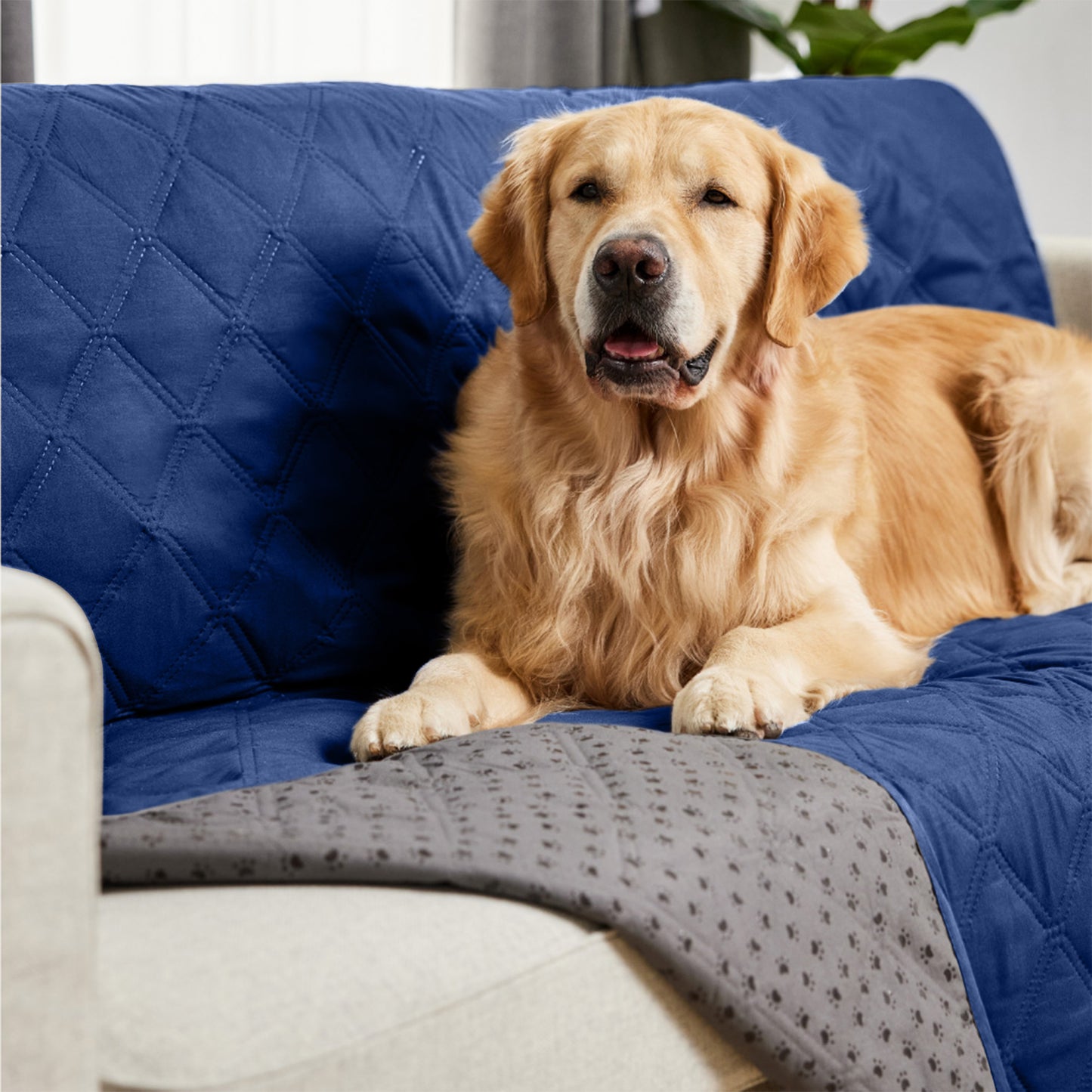 Waterproof Pet Blanket Gorilla Grip Navy
