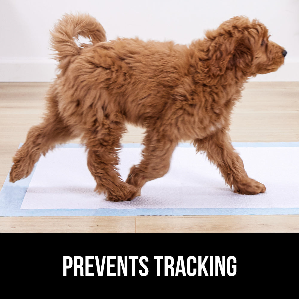 Gorilla Guard Absorbent and Leak Proof Disposable Puppy Pads Pet Accessories Gorilla Grip