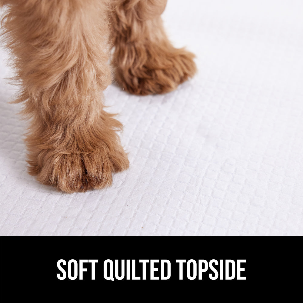 Gorilla Guard Absorbent and Leak Proof Disposable Puppy Pads Pet Accessories Gorilla Grip