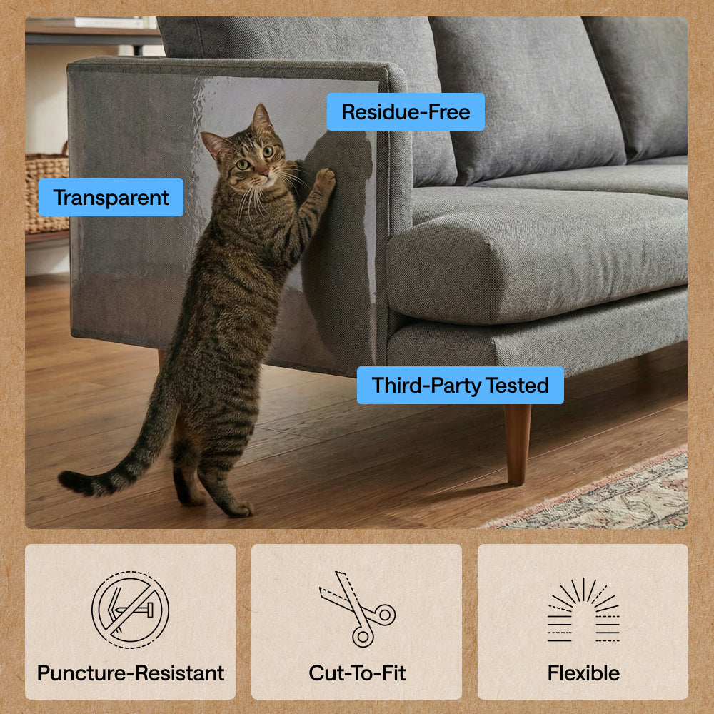 Cat Scratch Guard Gorilla Grip