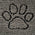 Gray Paw