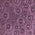 Purple Confetti Daisy