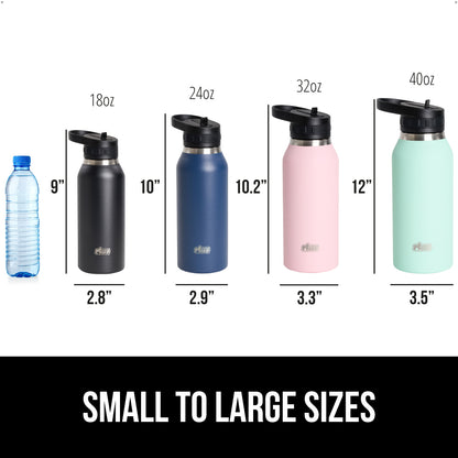 Insulated Water Bottle