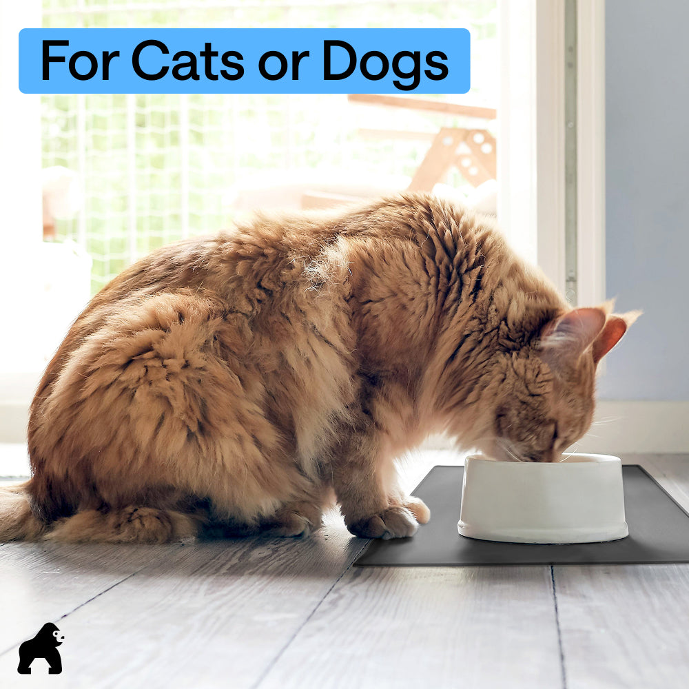 Pet Feeding Mat