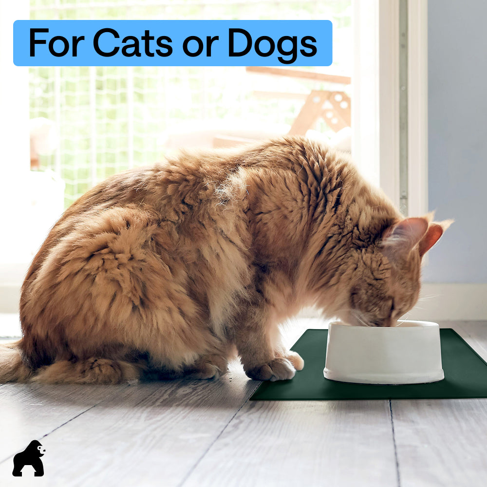 Pet Feeding Mat