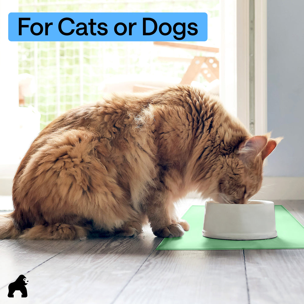 Pet Feeding Mat