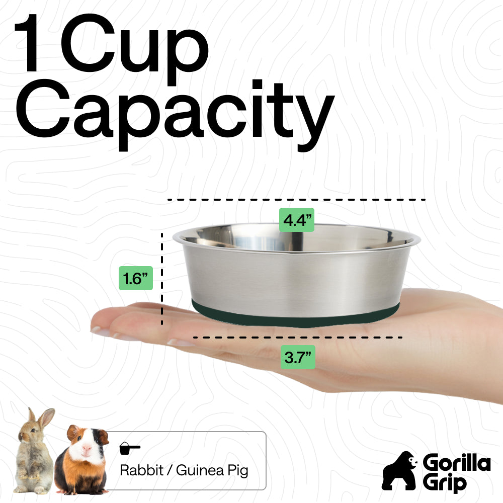 Stainless Steel Dog Bowl (Set of 2)