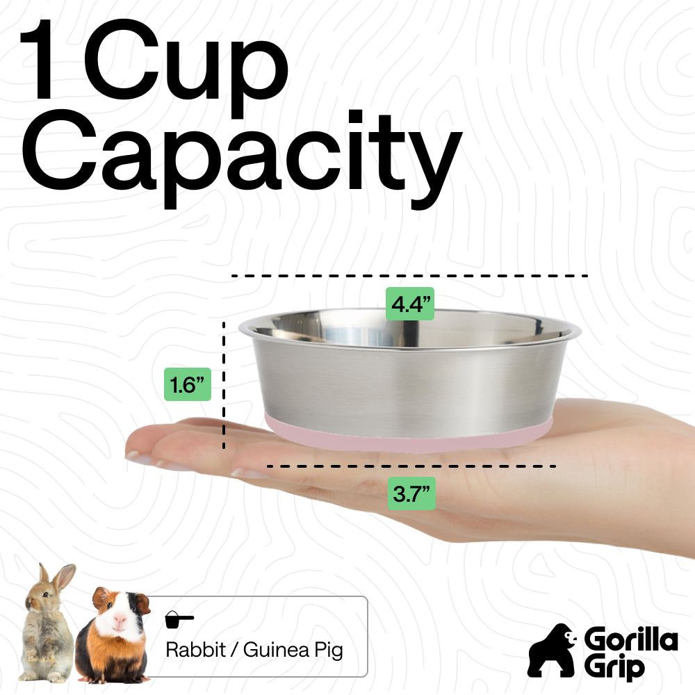 Stainless Steel Dog Bowl (Set of 2)
