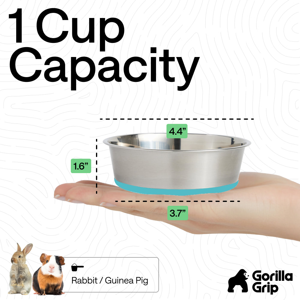 Stainless Steel Dog Bowl (Set of 2)