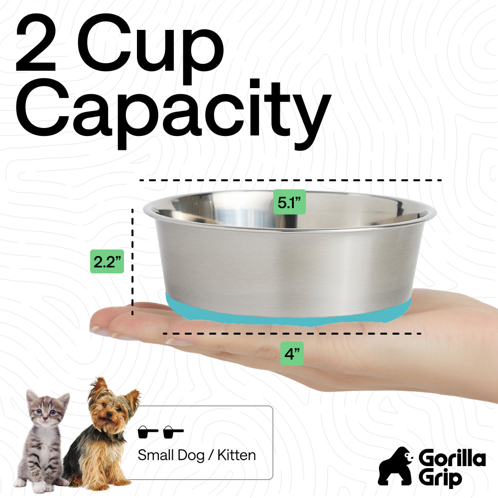 Stainless Steel Dog Bowl (Set of 2)