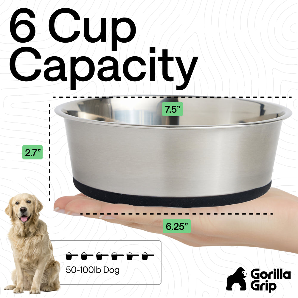 Stainless Steel Dog Bowl (Set of 2)