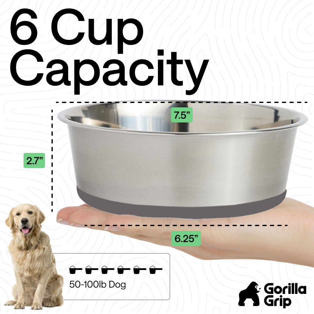 Stainless Steel Dog Bowl (Set of 2)
