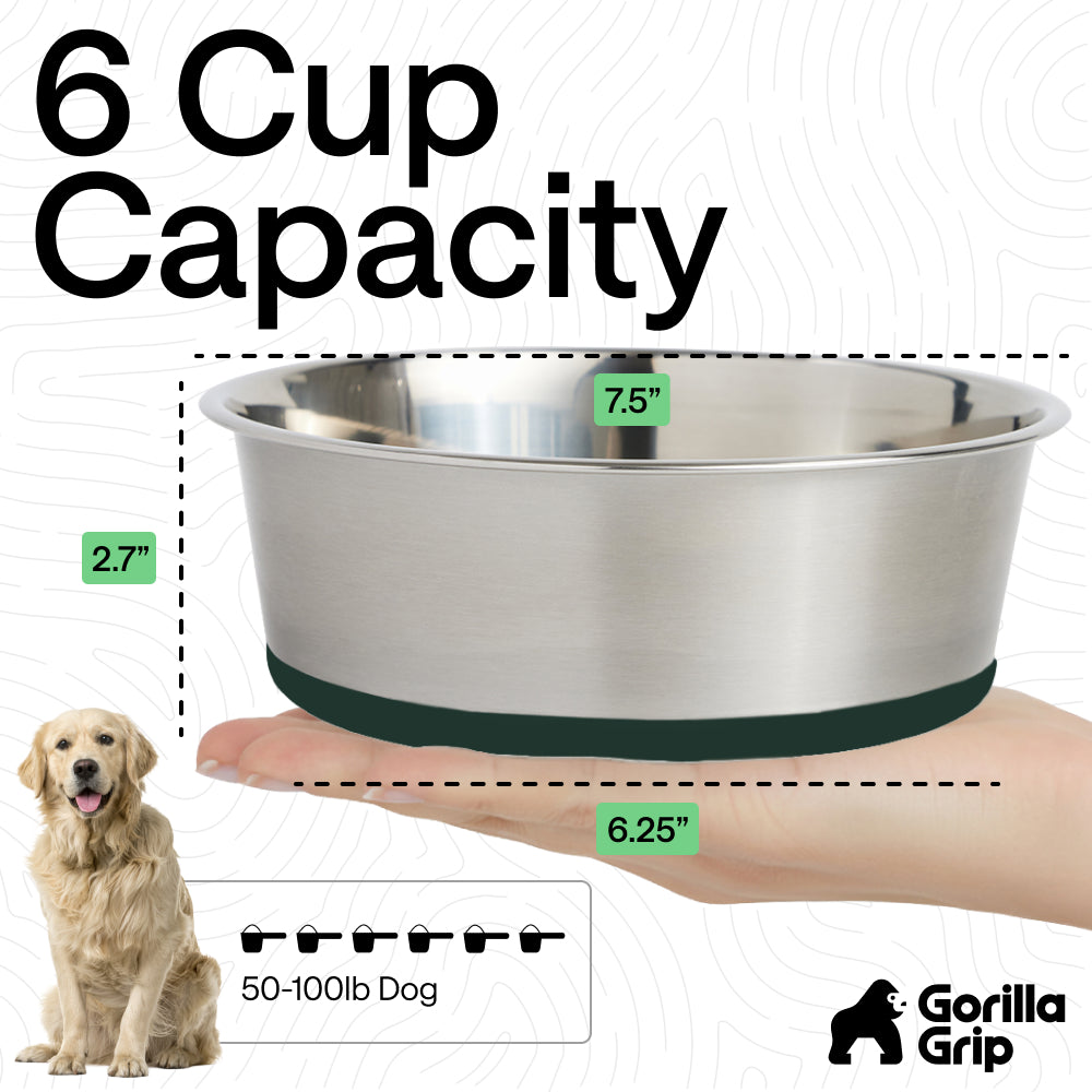 Stainless Steel Dog Bowl (Set of 2)