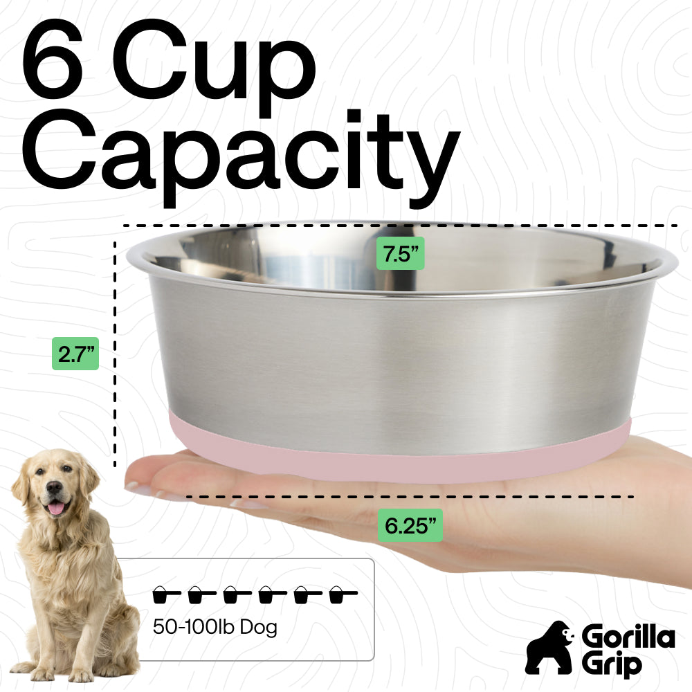 Stainless Steel Dog Bowl (Set of 2)