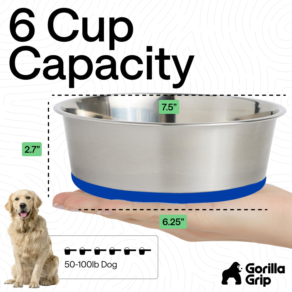 Stainless Steel Dog Bowl (Set of 2)