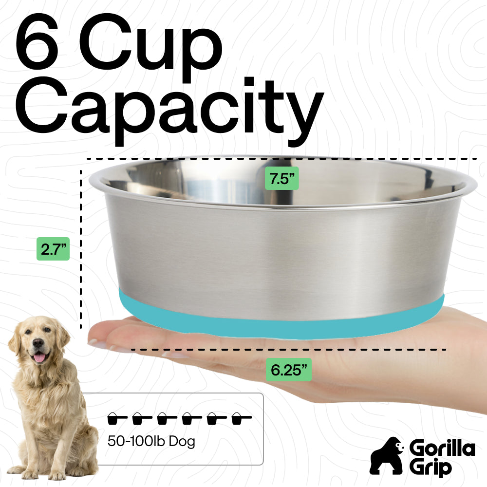 Stainless Steel Dog Bowl (Set of 2)