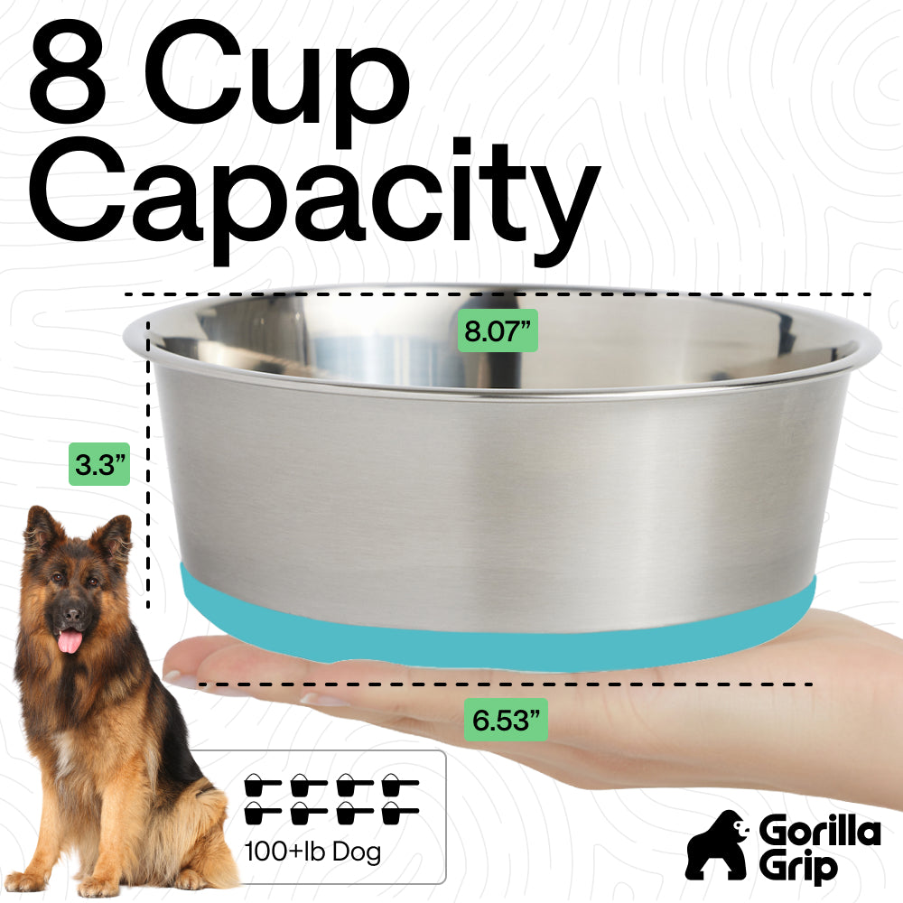 Stainless Steel Dog Bowl (Set of 2)