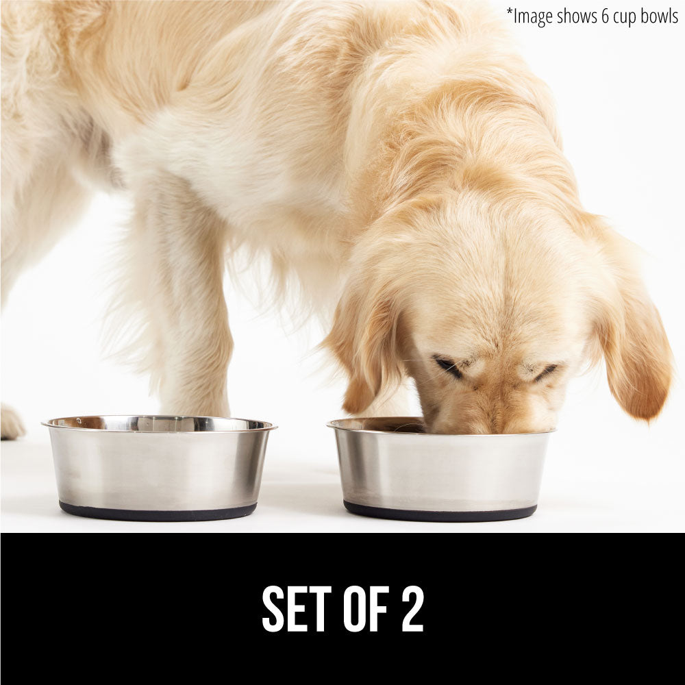 Cat Dog Food Bowls Gorilla Grip