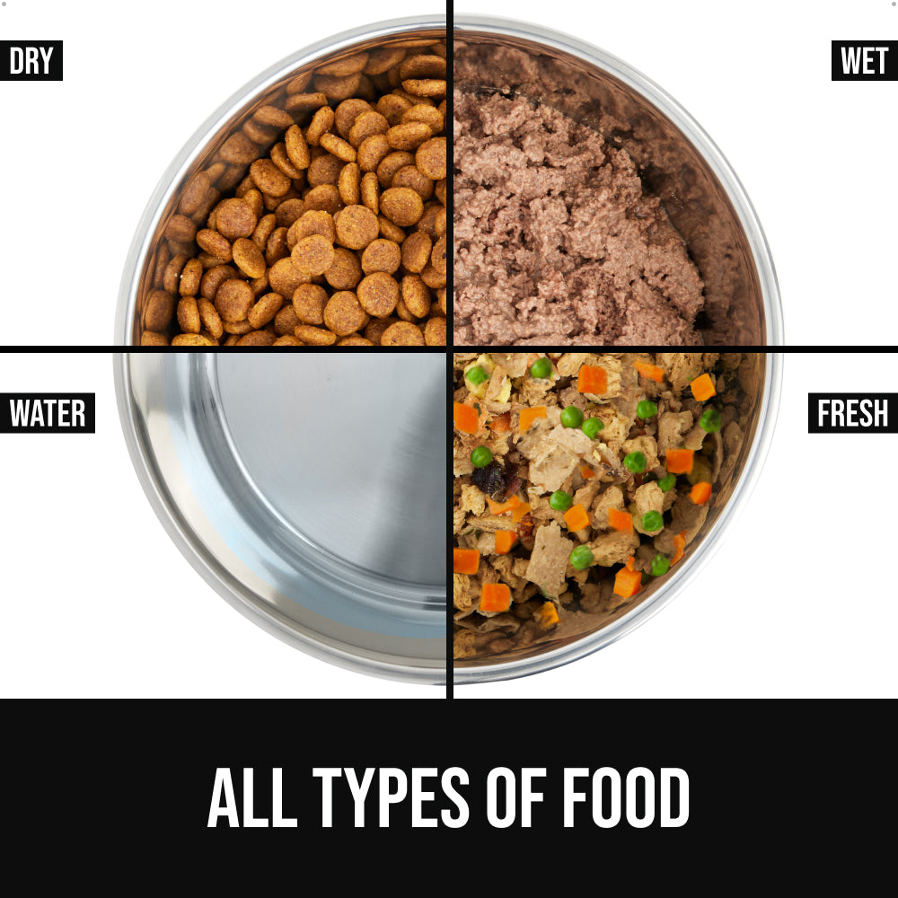 Stainless Steel Dog Bowl (Set of 2)