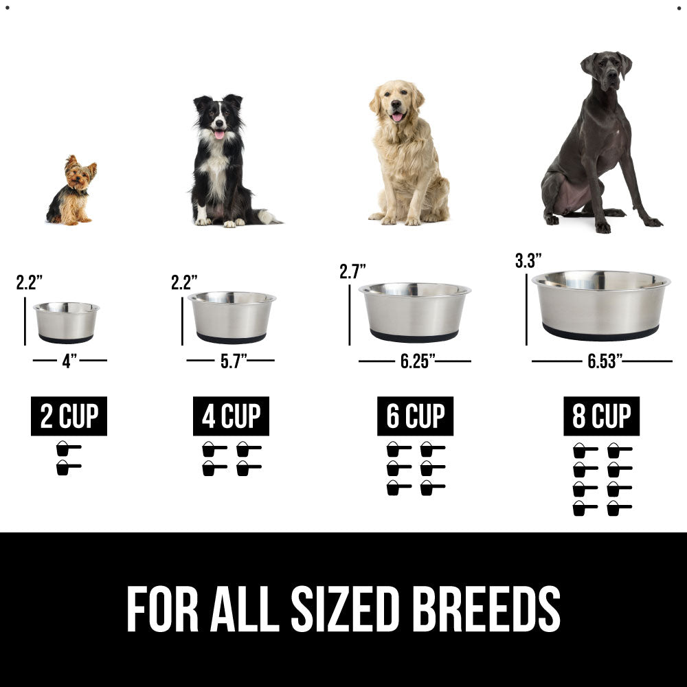 Stainless Steel Dog Bowl (Set of 2)