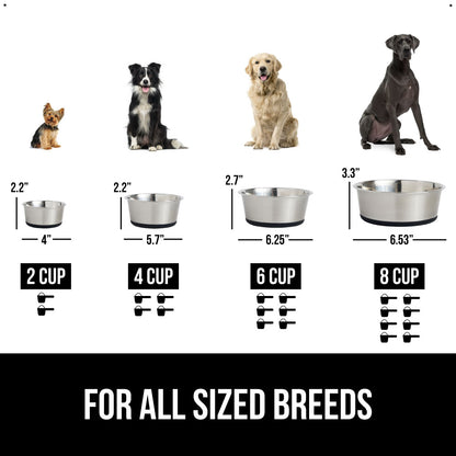 Stainless Steel Dog Bowl (Set of 2)