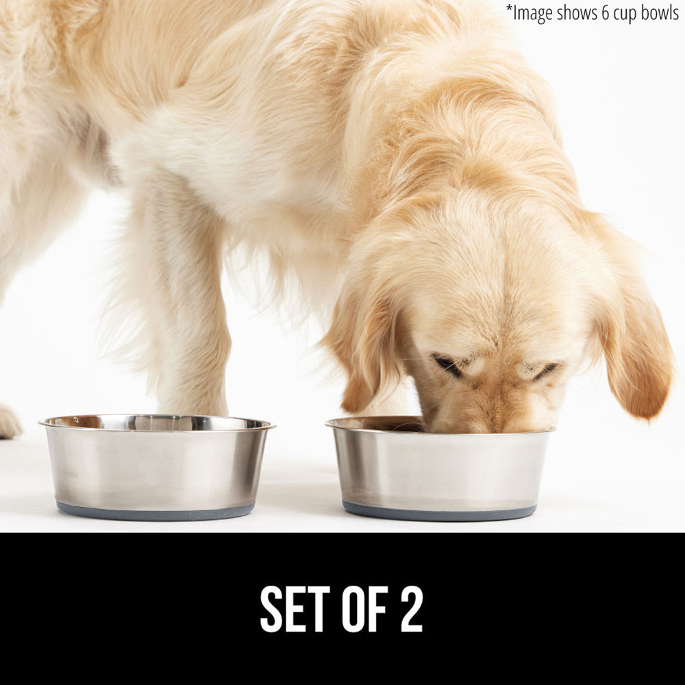 Cat & Dog Food Bowls  Gorilla Grip   