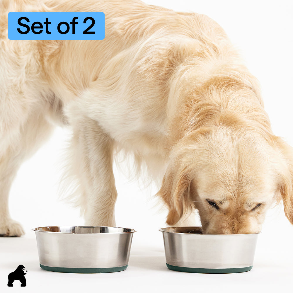 Stainless Steel Dog Bowl (Set of 2)