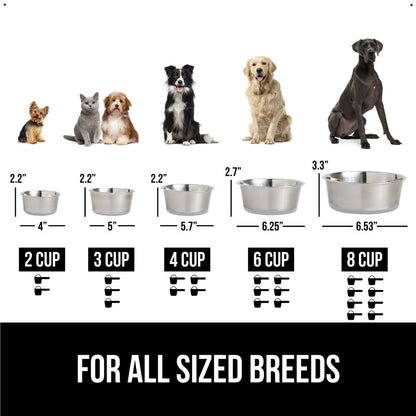 Cat & Dog Food Bowls