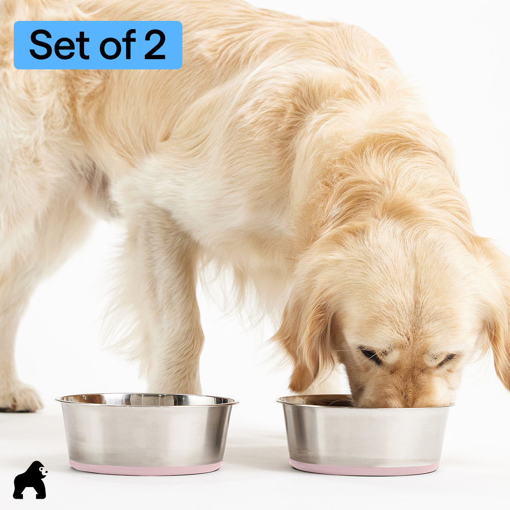 Stainless Steel Dog Bowl (Set of 2)