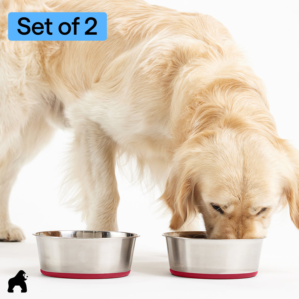 Stainless Steel Dog Bowl (Set of 2)