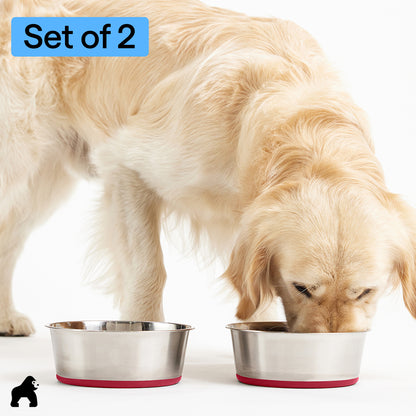 Stainless Steel Dog Bowl (Set of 2)
