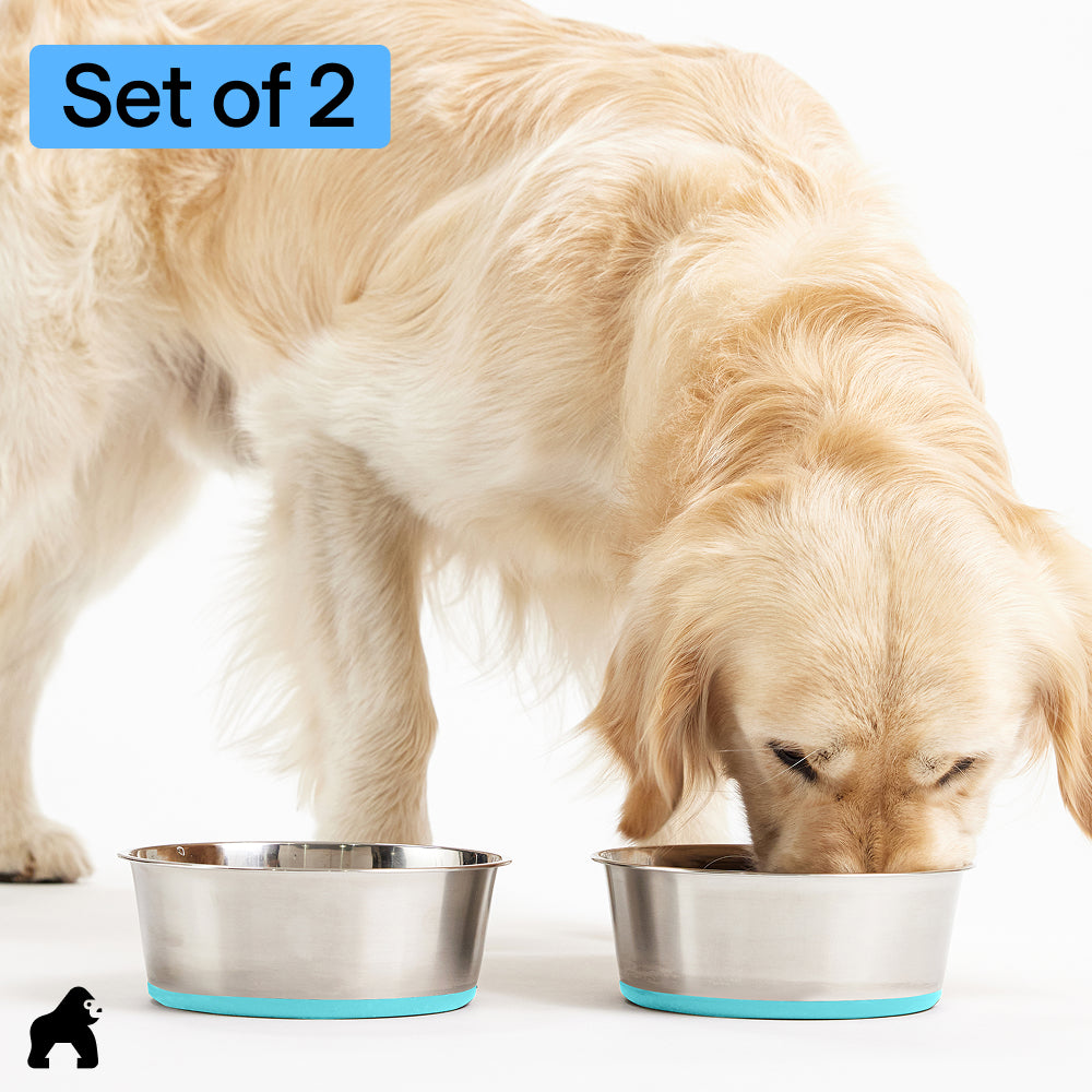 Stainless Steel Dog Bowl (Set of 2)