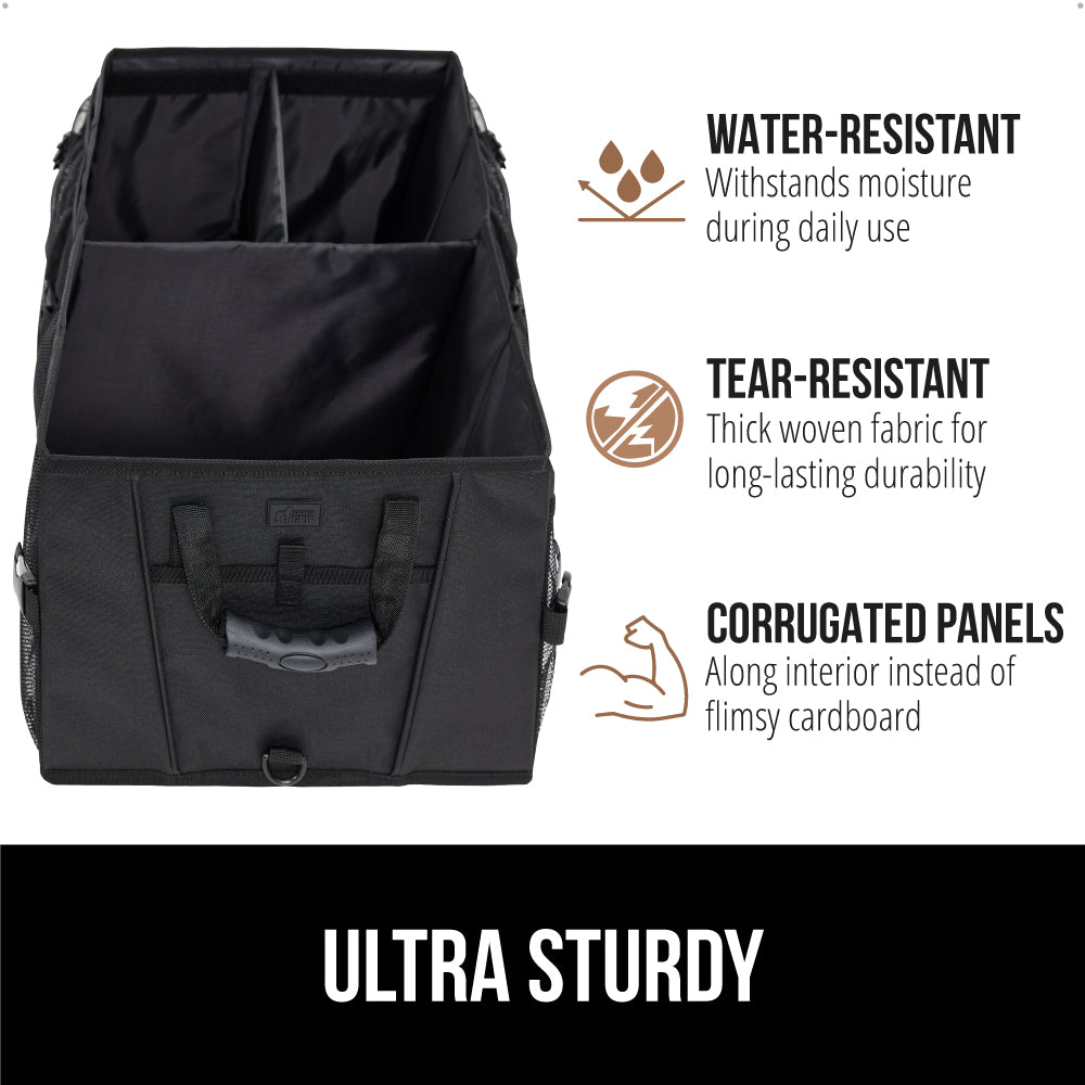 Sturdy trunk organizer discount