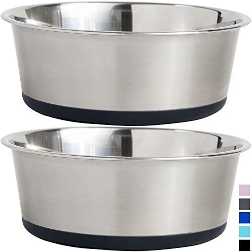 Raised Dog Bowls Dog Food Bowls 2 Stainless Steel Dog Bowl Small Size Dog  Cat Food Water Bowls Black 