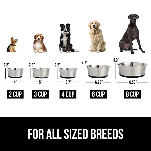 Gorilla Grip Slip Resistant Pet Bowls and Silicone Feeding Mat Set, Catch  Water and Food Mess, Raised Edges for No Spills, Stainless Steel Cat and Dog  Dish Bowl for Small and Large